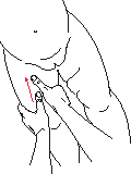 .8(  )